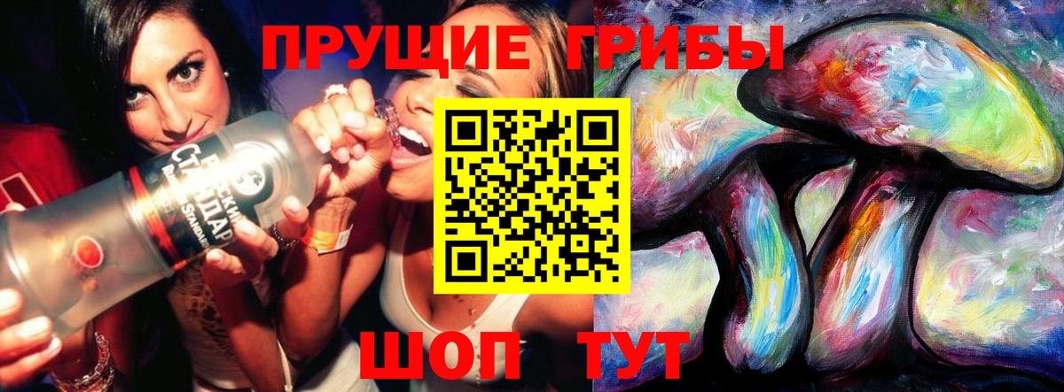 Псилоцибиновые грибы GOLDEN TEACHER  купить   Галлюциногенные грибы GOLDEN TEACHER  Гурьевск  Вход с VPN 