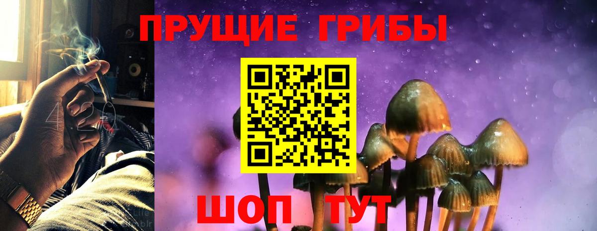 Галлюциногенные грибы ЛСД Гурьевск